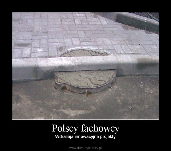 Polscy fachowcy