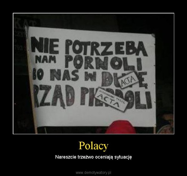 Polacy – Nareszcie trzeźwo oceniają sytuację 