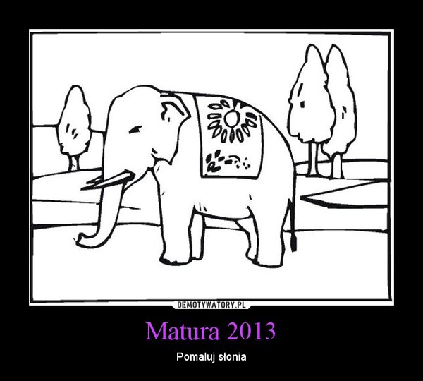 Matura 2013 – Pomaluj słonia 
