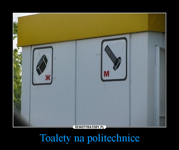 Toalety na politechnice –  