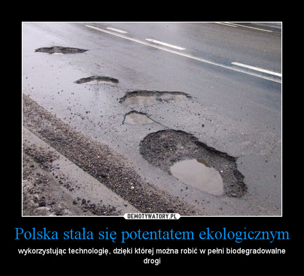 Polska stała się potentatem ekologicznym – wykorzystując technologię, dzięki której można robić w pełni biodegradowalne drogi 