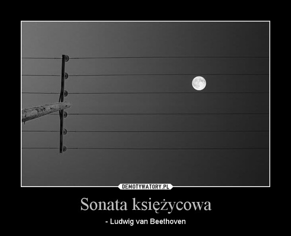 Sonata księżycowa – - Ludwig van Beethoven 