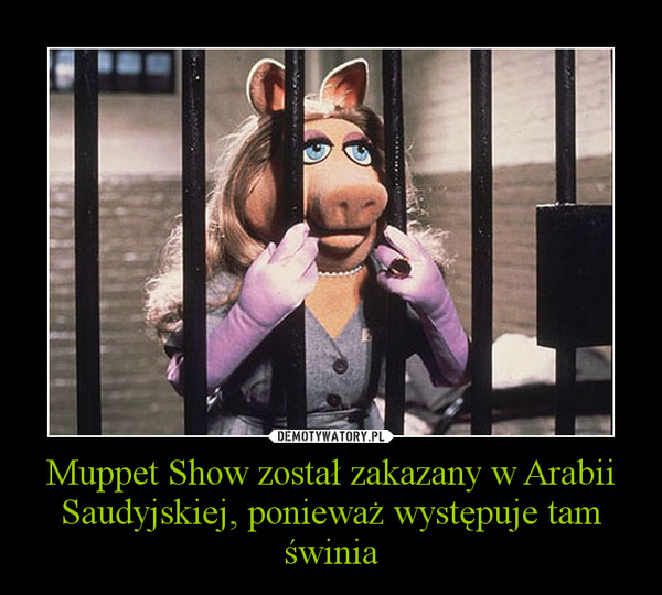 Muppet Show został zakazany w Arabii Saudyjskiej, ponieważ występuje tam świnia