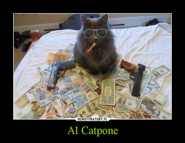 Al Catpone –  