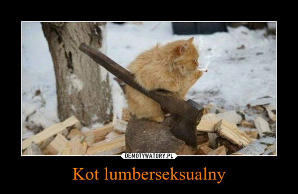 Kot lumberseksualny –  