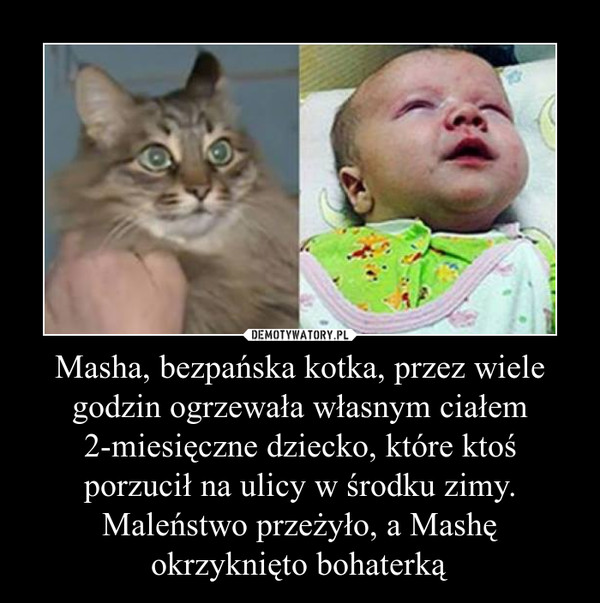 Masha, bezpańska kotka, przez wiele godzin ogrzewała własnym ciałem 2-miesięczne dziecko, które ktoś porzucił na ulicy w środku zimy. Maleństwo przeżyło, a Mashę okrzyknięto bohaterką –  