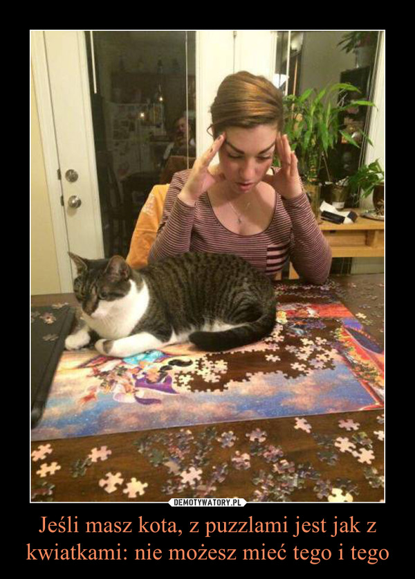 Jeśli masz kota, z puzzlami jest jak z kwiatkami: nie możesz mieć tego i tego –  