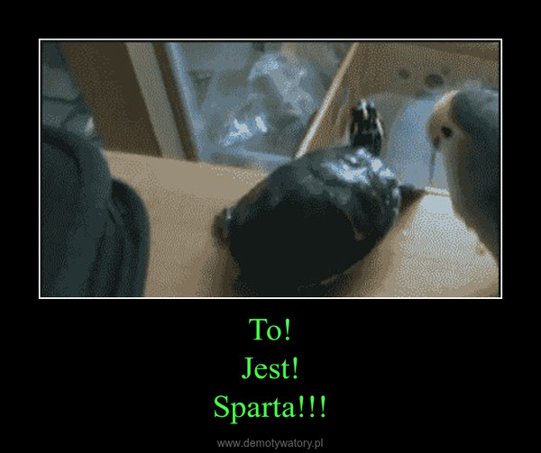 To!Jest!Sparta!!! –  