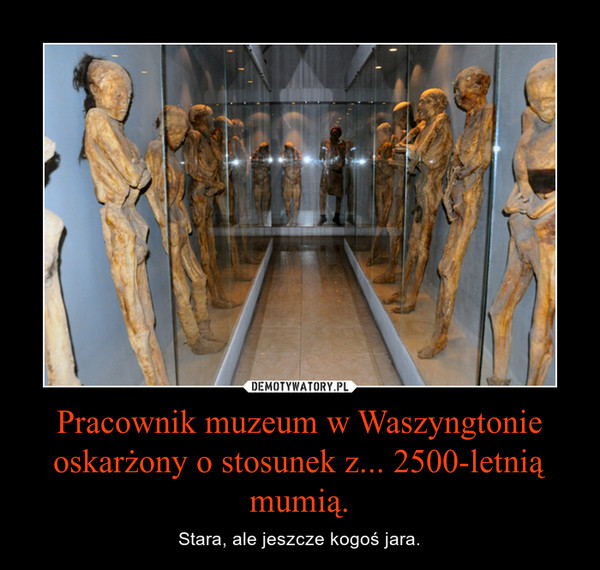 Pracownik muzeum w Waszyngtonie oskarżony o stosunek z... 2500-letnią mumią.