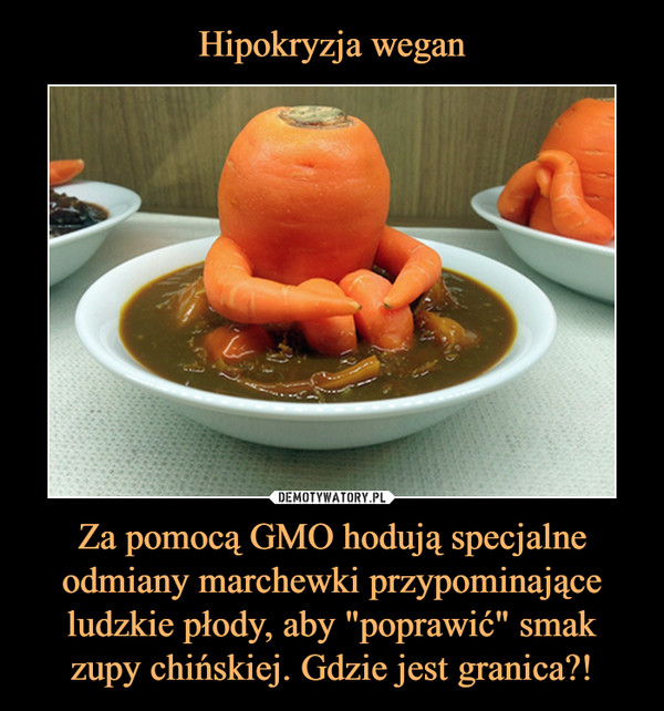 Hipokryzja wegan Za pomocą GMO hodują specjalne odmiany marchewki przypominające ludzkie płody, aby "poprawić" smak zupy chińskiej. Gdzie jest granica?!