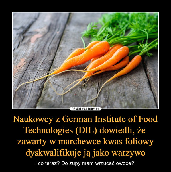 Naukowcy z German Institute of Food Technologies (DIL) dowiedli, że 
zawarty w marchewce kwas foliowy dyskwalifikuje ją jako warzywo