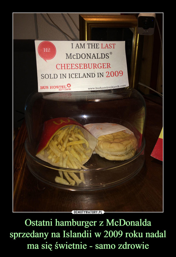 Ostatni hamburger z McDonalda sprzedany na Islandii w 2009 roku nadal ma się świetnie - samo zdrowie –  