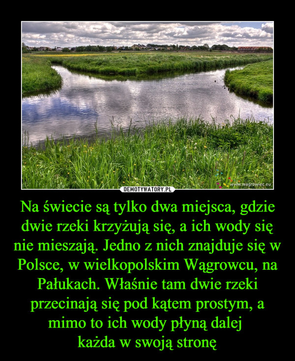 Na świecie są tylko dwa miejsca, gdzie dwie rzeki krzyżują się, a ich wody się nie mieszają. Jedno z nich znajduje się w Polsce, w wielkopolskim Wągrowcu, na Pałukach. Właśnie tam dwie rzeki przecinają się pod kątem prostym, a mimo to ich wody płyną dalej