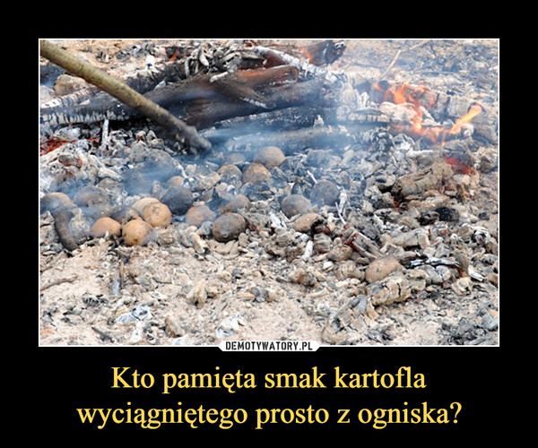 Kto pamięta smak kartoflawyciągniętego prosto z ogniska? –  