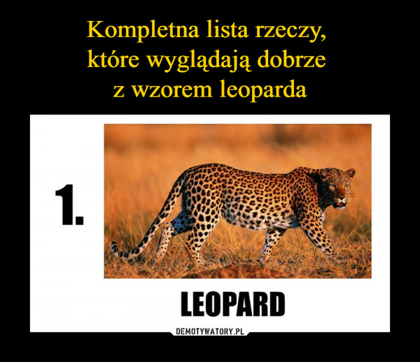 Kompletna lista rzeczy, 
które wyglądają dobrze 
z wzorem leoparda