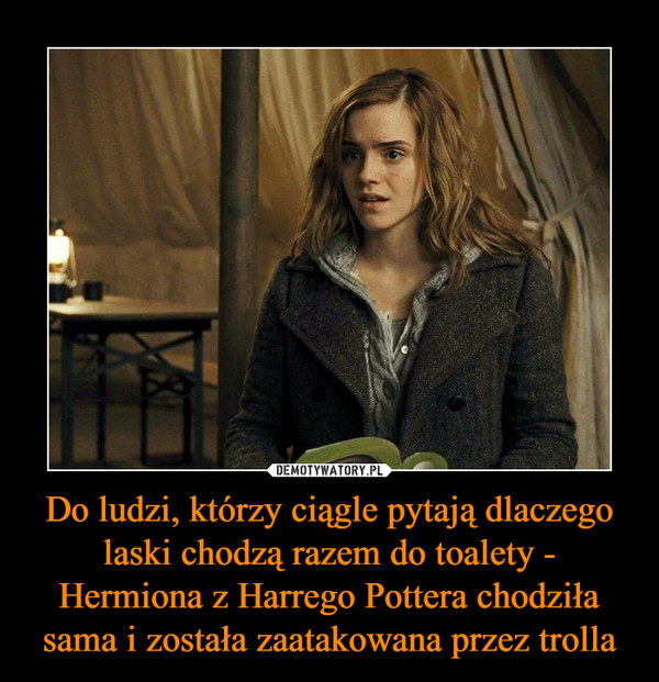Do ludzi, którzy ciągle pytają dlaczego laski chodzą razem do toalety - Hermiona z Harrego Pottera chodziła sama i została zaatakowana przez trolla –  