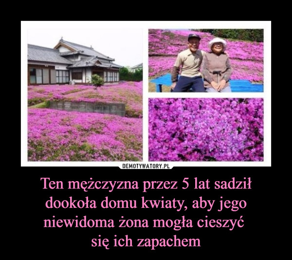 Ten mężczyzna przez 5 lat sadził dookoła domu kwiaty, aby jego niewidoma żona mogła cieszyć się ich zapachem –  