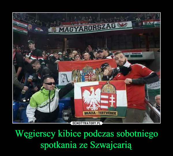 Węgierscy kibice podczas sobotniego spotkania ze Szwajcarią –  
