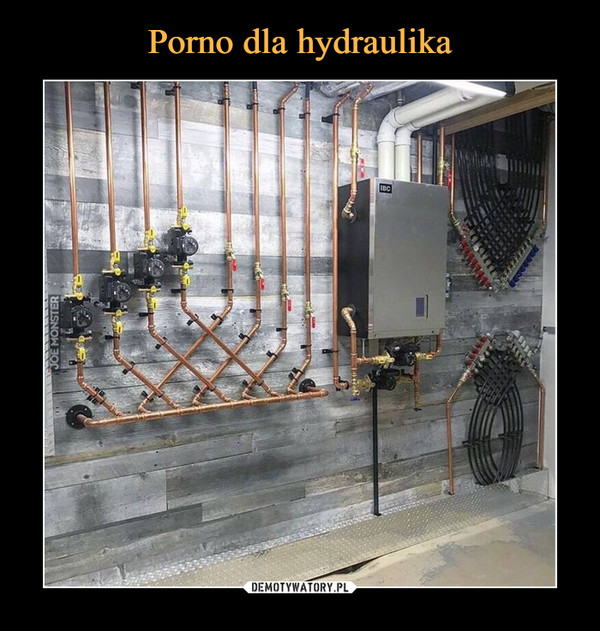 Porno dla hydraulika
