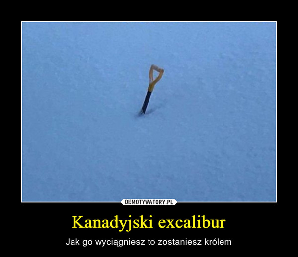 Kanadyjski excalibur