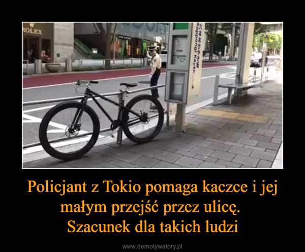 Policjant z Tokio pomaga kaczce i jej małym przejść przez ulicę. Szacunek dla takich ludzi –  