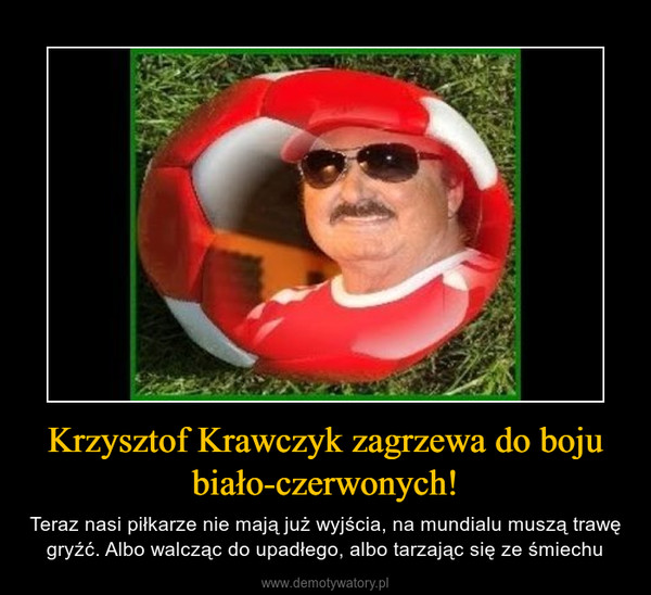Krzysztof Krawczyk zagrzewa do boju biało-czerwonych! – Teraz nasi piłkarze nie mają już wyjścia, na mundialu muszą trawę gryźć. Albo walcząc do upadłego, albo tarzając się ze śmiechu 