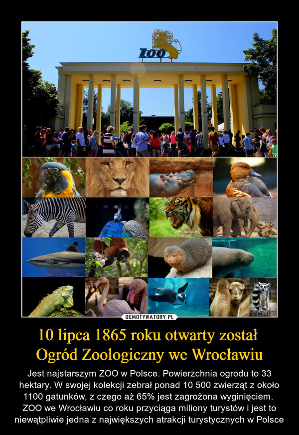 10 lipca 1865 roku otwarty został Ogród Zoologiczny we Wrocławiu – Jest najstarszym ZOO w Polsce. Powierzchnia ogrodu to 33 hektary. W swojej kolekcji zebrał ponad 10 500 zwierząt z około 1100 gatunków, z czego aż 65% jest zagrożona wyginięciem. ZOO we Wrocławiu co roku przyciąga miliony turystów i jest to niewątpliwie jedna z największych atrakcji turystycznych w Polsce 