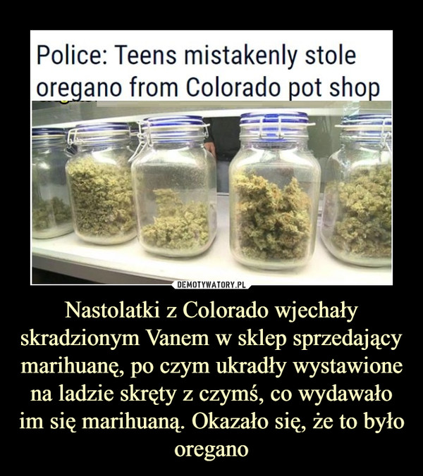 Nastolatki z Colorado wjechały skradzionym Vanem w sklep sprzedający marihuanę, po czym ukradły wystawione na ladzie skręty z czymś, co wydawało im się marihuaną. Okazało się, że to było oregano –  
