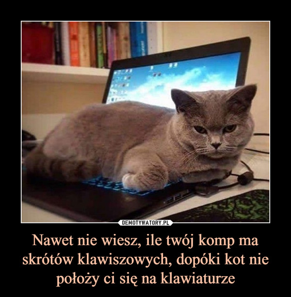 Nawet nie wiesz, ile twój komp ma skrótów klawiszowych, dopóki kot nie położy ci się na klawiaturze –  