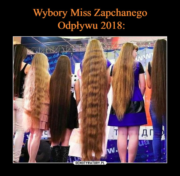 Wybory Miss Zapchanego
 Odpływu 2018: