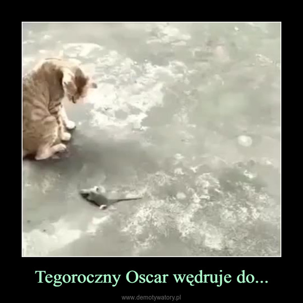 Tegoroczny Oscar wędruje do... –  