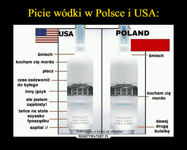 Picie wódki w Polsce i USA: