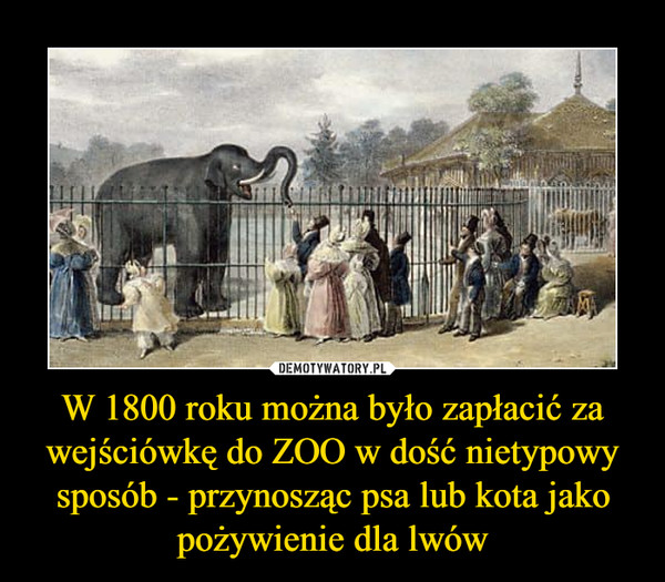 W 1800 roku można było zapłacić za wejściówkę do ZOO w dość nietypowy sposób - przynosząc psa lub kota jako pożywienie dla lwów