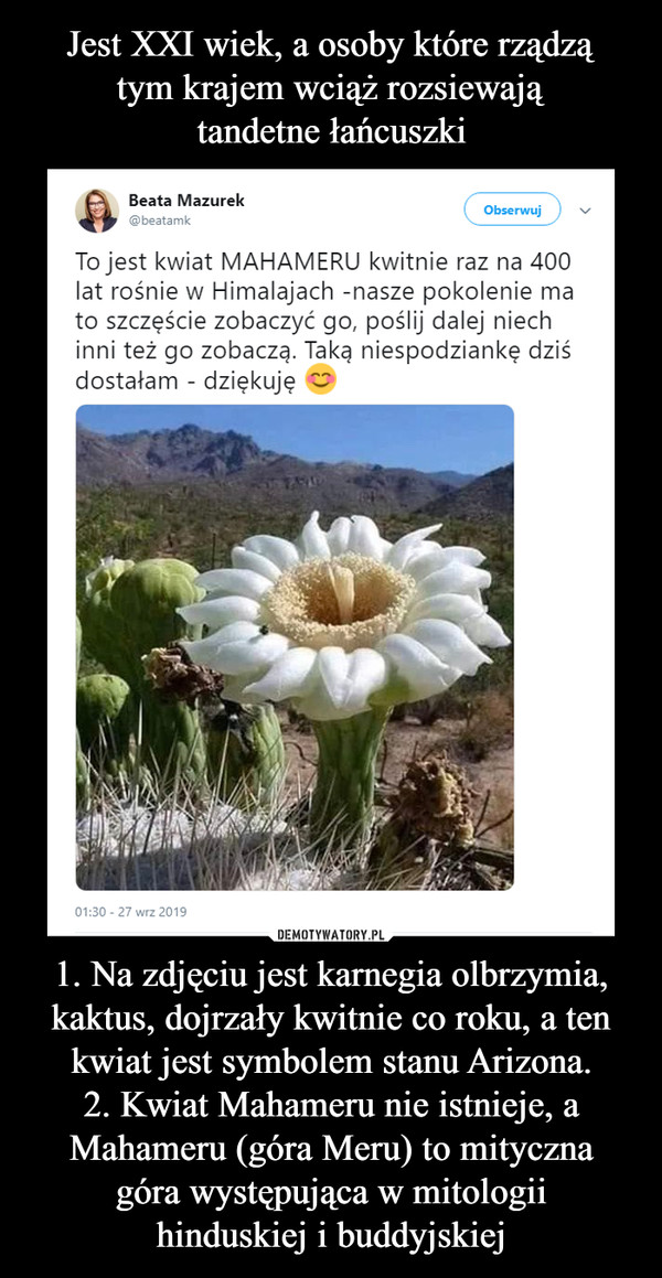 1. Na zdjęciu jest karnegia olbrzymia, kaktus, dojrzały kwitnie co roku, a ten kwiat jest symbolem stanu Arizona.2. Kwiat Mahameru nie istnieje, a Mahameru (góra Meru) to mitycznagóra występująca w mitologiihinduskiej i buddyjskiej –  Beata MazurekObserwuj@beatamkTo jest kwiat MAHAMERU kwitnie raz na 400lat rośnie w Himalajach -nasze pokolenie mato szczęście zobaczyć go, poślij dalej niechinni też go zobaczą. Taką niespodziankę dziśdostałam - dziękuję01:30 27 wrz 2019DEMOTYWATORY.PL1. Na zdjęciu jest karnegia olbrzymia,kaktus, dojrzały kwitnie co roku, a tenkwiat jest symbolem stanu Arizona.2. Kwiat Mahameru nie istnieje,Mahameru (góra Meru) to mitycznagóra występującą w mitologiihinduskiej i buddyjskiejа