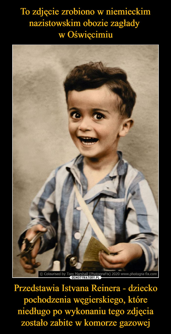 To zdjęcie zrobiono w niemieckim nazistowskim obozie zagłady 
w Oświęcimiu Przedstawia Istvana Reinera - dziecko pochodzenia węgierskiego, które niedługo po wykonaniu tego zdjęcia zostało zabite w komorze gazowej