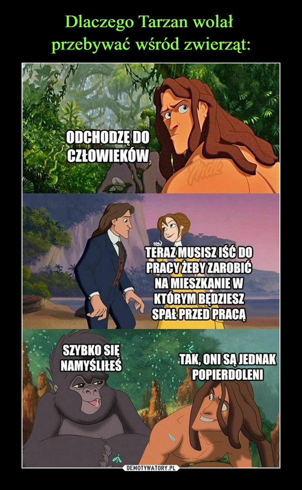 Dlaczego Tarzan wolał 
przebywać wśród zwierząt: