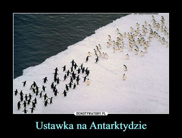 Ustawka na Antarktydzie –  