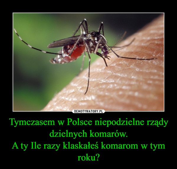 Tymczasem w Polsce niepodzielne rządy dzielnych komarów.A ty Ile razy klaskałeś komarom w tym roku? –  