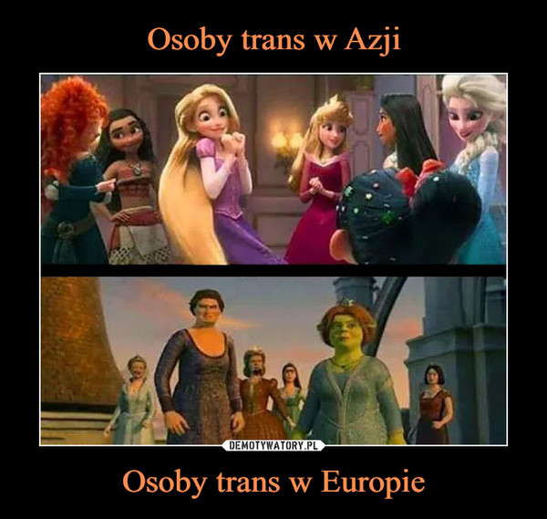 Osoby trans w Europie –  