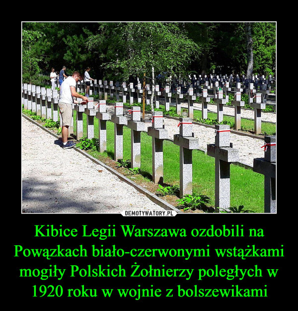 Kibice Legii Warszawa ozdobili na Powązkach biało-czerwonymi wstążkami mogiły Polskich Żołnierzy poległych w 1920 roku w wojnie z bolszewikami –  