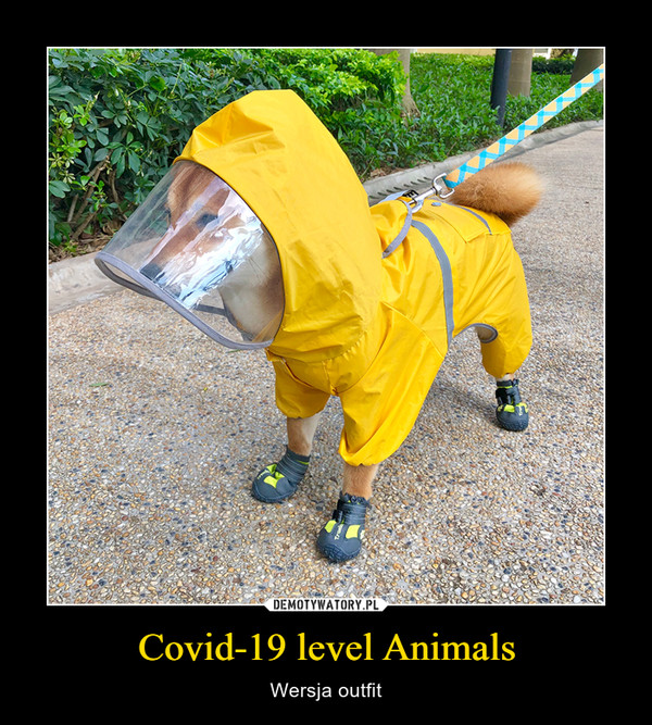 Covid-19 level Animals – Wersja outfit 