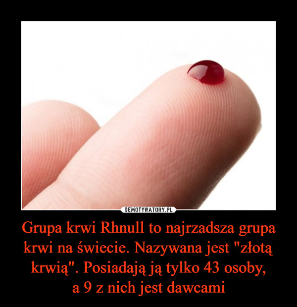 Grupa krwi Rhnull to najrzadsza grupa krwi na świecie. Nazywana jest "złotą krwią". Posiadają ją tylko 43 osoby,a 9 z nich jest dawcami –  
