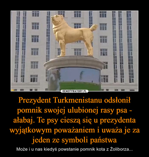 Prezydent Turkmenistanu odsłonił pomnik swojej ulubionej rasy psa - ałabaj. Te psy cieszą się u prezydenta wyjątkowym poważaniem i uważa je za jeden ze symboli państwa