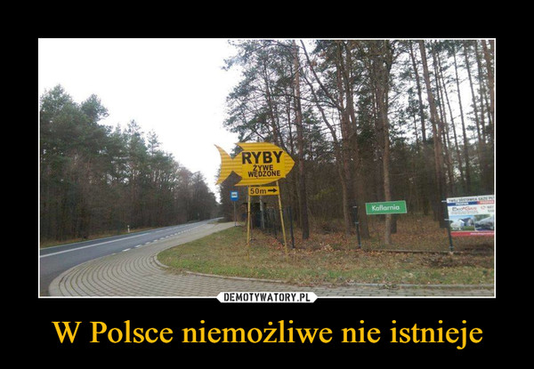 W Polsce niemożliwe nie istnieje –  