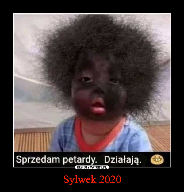 Sylwek 2020 –  