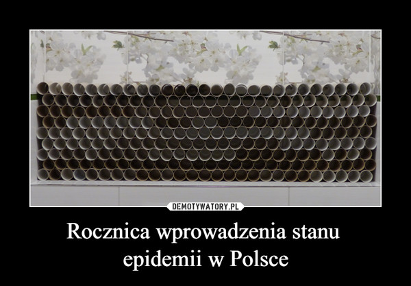 Rocznica wprowadzenia stanu 
epidemii w Polsce