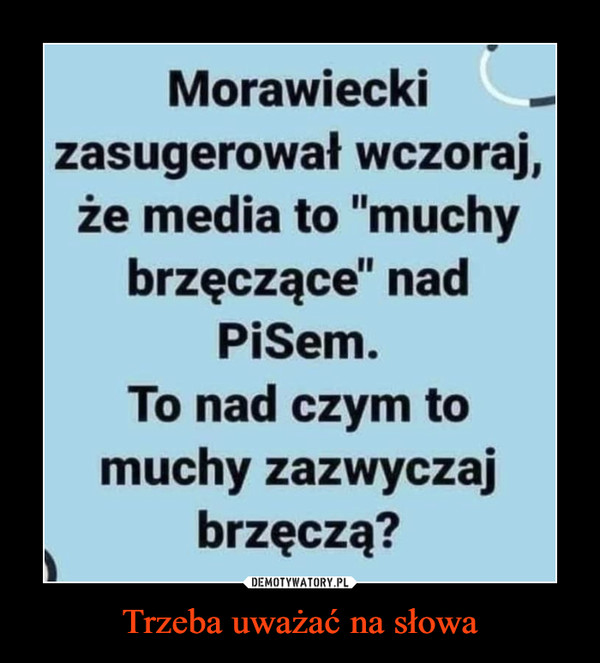 Trzeba uważać na słowa –  Morawieckizasugerował wczoraj,że media to "muchybrzęczące" nadPiSem.To nad czym tomuchy zazwyczajbrzęczą?