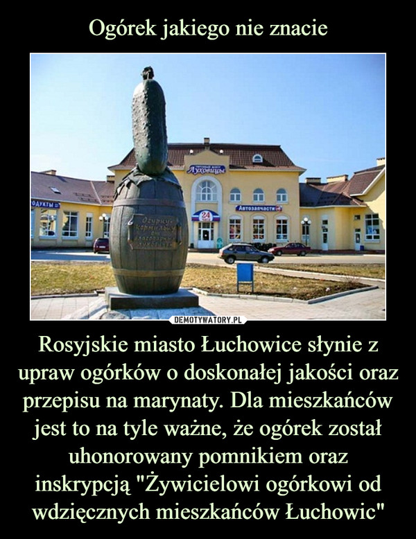 Rosyjskie miasto Łuchowice słynie z upraw ogórków o doskonałej jakości oraz przepisu na marynaty. Dla mieszkańców jest to na tyle ważne, że ogórek został uhonorowany pomnikiem oraz inskrypcją "Żywicielowi ogórkowi od wdzięcznych mieszkańców Łuchowic" –  