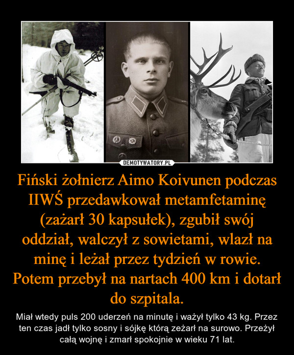 Fiński żołnierz Aimo Koivunen podczas IIWŚ przedawkował metamfetaminę (zażarł 30 kapsułek), zgubił swój oddział, walczył z sowietami, wlazł na minę i leżał przez tydzień w rowie. Potem przebył na nartach 400 km i dotarł do szpitala. – Miał wtedy puls 200 uderzeń na minutę i ważył tylko 43 kg. Przez ten czas jadł tylko sosny i sójkę którą zeżarł na surowo. Przeżył całą wojnę i zmarł spokojnie w wieku 71 lat. 