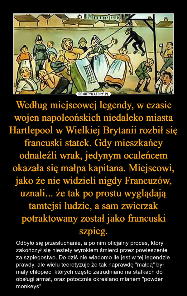 Według miejscowej legendy, w czasie wojen napoleońskich niedaleko miasta Hartlepool w Wielkiej Brytanii rozbił się francuski statek. Gdy mieszkańcy odnaleźli wrak, jedynym ocaleńcem okazała się małpa kapitana. Miejscowi, jako że nie widzieli nigdy Francuzów, uznali... że tak po prostu wyglądają tamtejsi ludzie, a sam zwierzak potraktowany został jako francuski szpieg. – Odbyło się przesłuchanie, a po nim oficjalny proces, który zakończył się niestety wyrokiem śmierci przez powieszenie za szpiegostwo. Do dziś nie wiadomo ile jest w tej legendzie prawdy, ale wielu teoretyzuje że tak naprawdę "małpą" był mały chłopiec, których często zatrudniano na statkach do obsługi armat, oraz potocznie określano mianem "powder monkeys" 